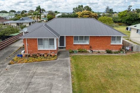 Photo of property in 43 Cranley Street, Dargaville, 0310