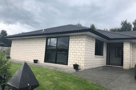 Photo of property in 2 Hoggard Street, Vogeltown, Wellington, 6021