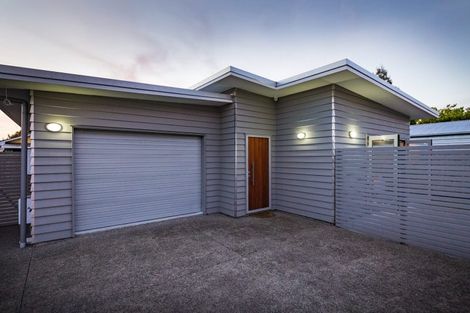 Photo of property in 65a Weston Avenue, Roslyn, Palmerston North, 4414