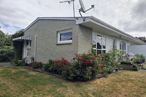 Photo of property in 64 Puriri Street, Riccarton, Christchurch, 8041