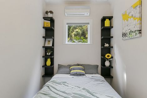 Photo of property in 11 Holloway Road, Aro Valley, Wellington, 6021