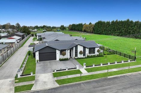 Photo of property in 5 Haig Road, Matamata, 3400