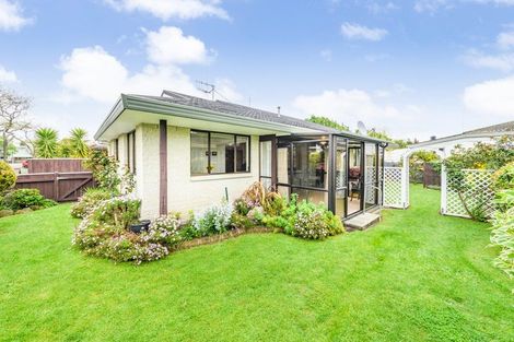 Photo of property in 4 Mcarthur Street, Terrace End, Palmerston North, 4410