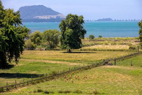 Photo of property in 38a Oikimoke Road, Te Puna, Tauranga, 3176