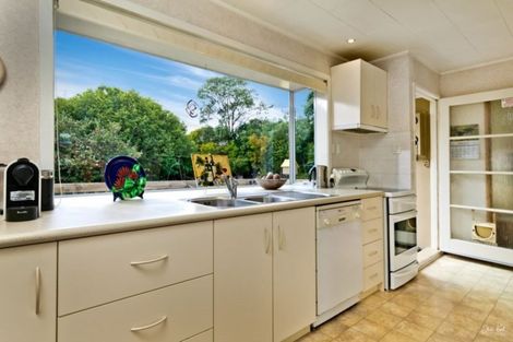 Photo of property in 33 Longreach Drive, Sunnyvale, Auckland, 0612
