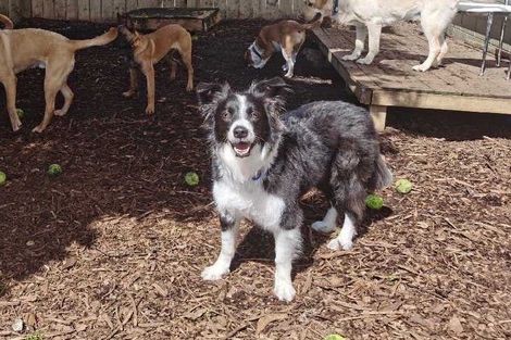 Photo of property in 12 Haku Road, Flat Bush, Auckland, 2019