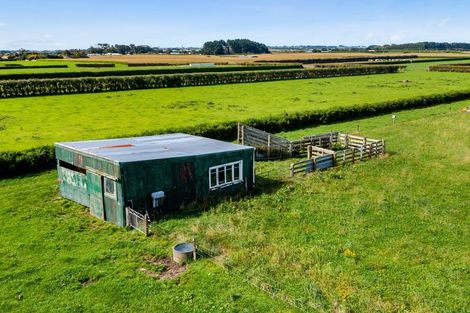 Photo of property in 105 Mawhitiwhiti Road, Normanby, Hawera, 4675