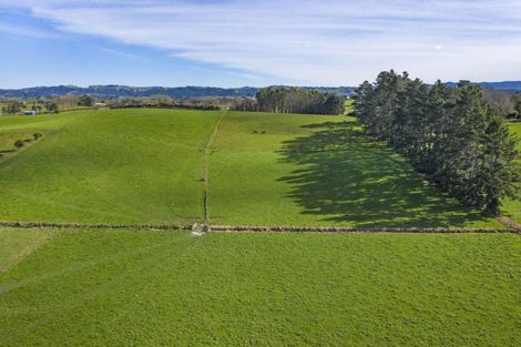 Photo of property in 105 Willis Road, Ngahinapouri, Hamilton, 3290