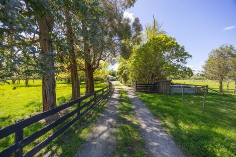 Photo of property in 122 Pohangina Road, Ashhurst, Palmerston North, 4470