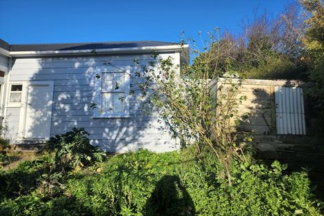 Photo of property in 48 Blacks Road, North East Valley, Dunedin, 9010