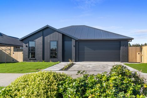 Photo of property in 33 Buxton Crescent, Matamata, 3400