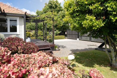 Photo of property in 27 Stafford Street, Cambridge, 3434