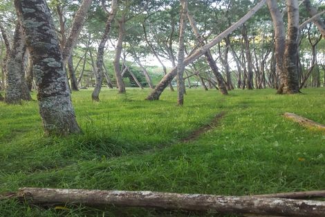 Photo of property in 84 Rigden Road, Opua, 0272