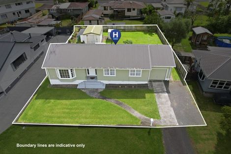 Photo of property in 32 Willoughby Street, Paeroa, 3600