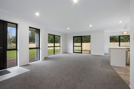 Photo of property in 5d Mangatoetoe Street, Waihi, 3610