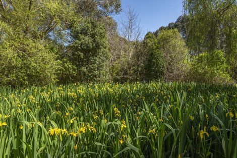 Photo of property in 15 Hadfield Road, Peka Peka, 5391