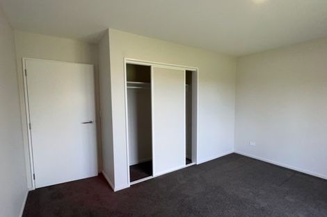 Photo of property in 238a Whitecliffs Road, Whitecliffs, Coalgate, 7673