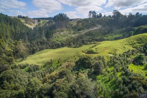 Photo of property in 1103 Pohuehue Road, Warkworth, 0983