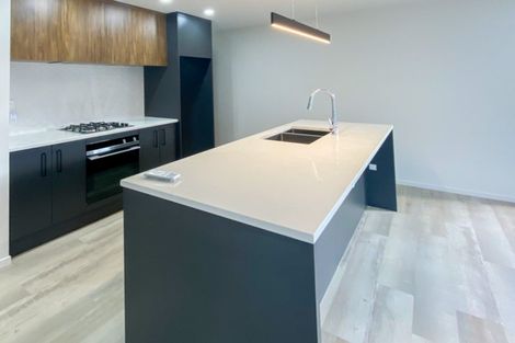 Photo of property in 1 Amrit Lane, Rolleston, 7614