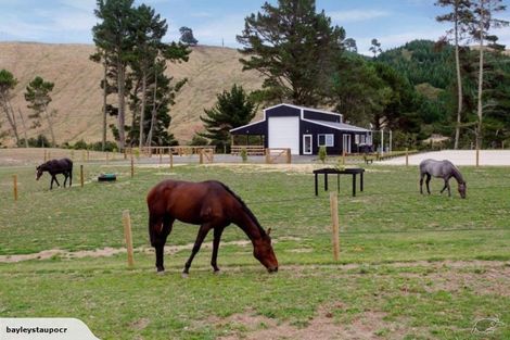 Photo of property in 437 Poihipi Road, Wairakei, Taupo, 3377