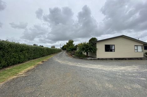 Photo of property in 19 Sedgebrook Road, Patumahoe, Pukekohe, 2678