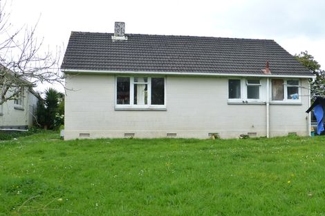 Photo of property in 16 Kohekohe Crescent, Meremere, Mercer, 2474