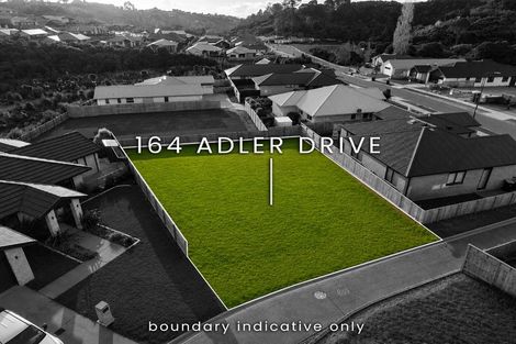 Photo of property in 164 Adler Drive, Ohauiti, Tauranga, 3112