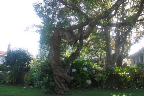 Photo of property in 23 Penrose Street, Woburn, Lower Hutt, 5010