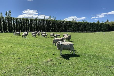 Photo of property in 440 Springs Road, Prebbleton, 7604