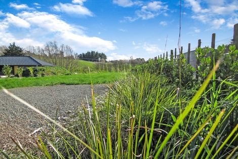Photo of property in 17c Teal Avenue, Feilding, 4775