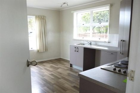 Photo of property in 119 Riverpark Crescent, Henderson, Auckland, 0610