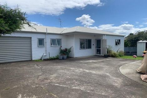 Photo of property in 3a Wellesley Street, Feilding, 4702