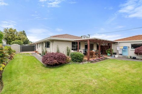 Photo of property in 6 Lagan Street, Belfast, Christchurch, 8051