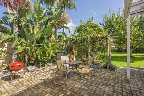 Photo of property in 982 Back Ormond Road, Makauri, Gisborne, 4071