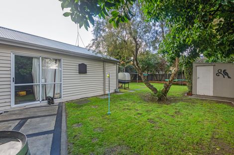 Photo of property in 43 Knowles Street, Terrace End, Palmerston North, 4410