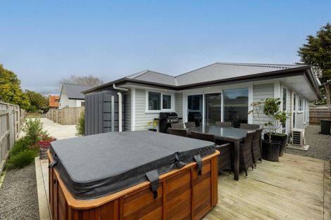 Photo of property in 53b Argyle Avenue, Takaro, Palmerston North, 4410