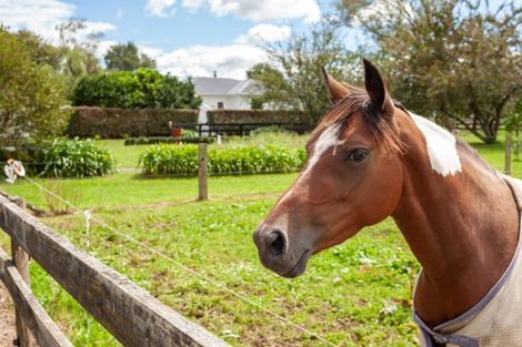 Photo of property in 708 Waghorn Road, Manawaru, Waharoa, 3474