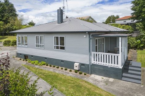 Photo of property in 73 Tirau Street, Putaruru, 3411