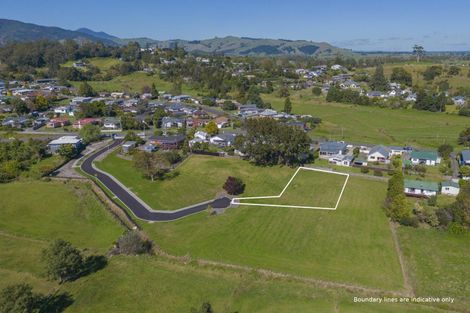 Photo of property in 6 Double Oaks Drive, Paeroa, 3600