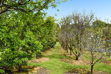 Photo of property in 19 Roger Guy Place, Welcome Bay, Tauranga, 3175