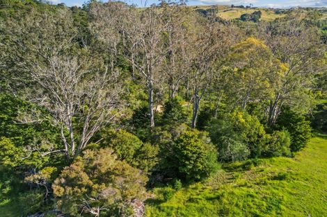 Photo of property in 19 Doel Road, Kawakawa, 0282