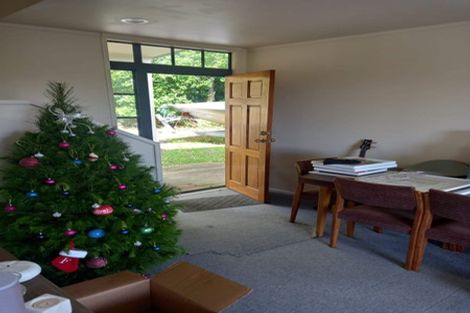 Photo of property in 113a Carlisle Road, Torbay, Auckland, 0632