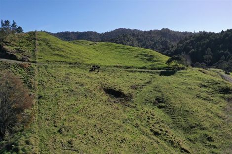 Photo of property in 128c Otonga Valley Road, Raglan, 3295