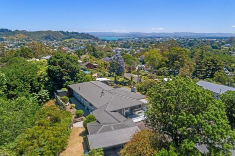 Photo of property in 29 Gaddums Hill Road, Outer Kaiti, Gisborne, 4010