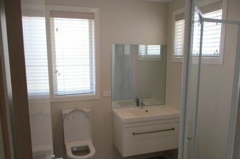 Photo of property in 51 Fifth Avenue, Enderley, Hamilton, 3214