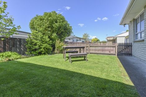 Photo of property in 1010a Konini Street, Mahora, Hastings, 4120