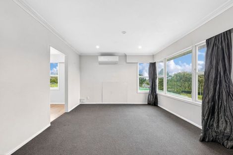 Photo of property in 163 Arapuni Street, Putaruru, 3411