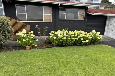 Photo of property in 114a Laurence Street North, Gate Pa, Tauranga, 3112