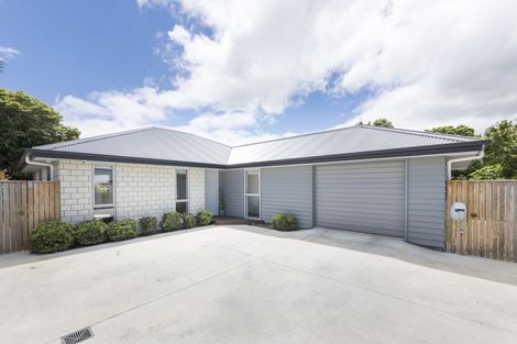 Photo of property in 31a Manson Street, Terrace End, Palmerston North, 4410