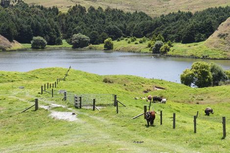 Photo of property in 66 Manu Drive, Kaiwaka, 0573